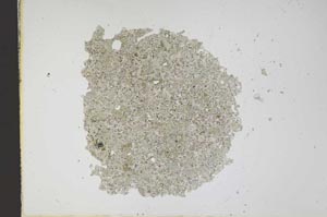 Plane Polarized, S11895