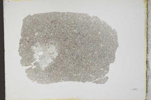 Plane Polarized, S11898/a