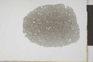 Plane Polarized, S11915