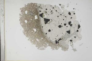Plane Polarized, S11918