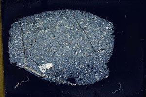 Cross Polarized, S11922