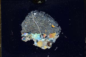 Cross Polarized, S11924