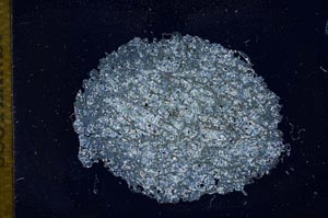 Cross Polarized, S11925