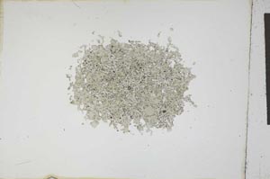 Plane Polarized, S11926