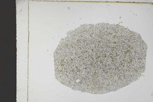 Plane Polarized, S11927