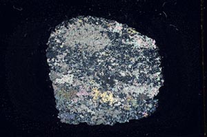 Cross Polarized, S11962
