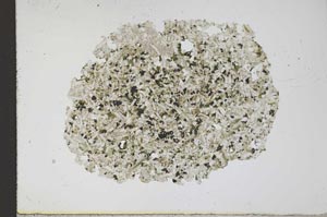 Plane Polarized, S11969