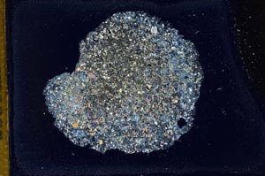 Cross Polarized, S11970