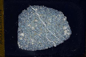 Cross Polarized, S11980