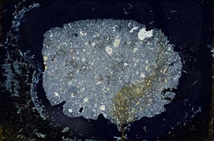 Cross Polarized, S11981