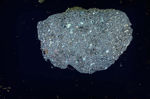 Cross Polarized, S11981/A