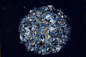 Cross Polarized, S11982