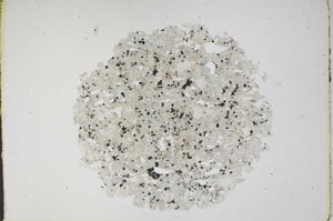 Plane Polarized, S11982