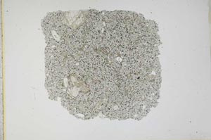 Plane Polarized, S11983