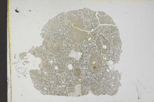 Plane Polarized, S11984