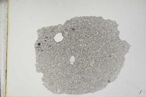 Plane Polarized, S11985