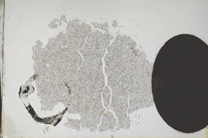 Plane Polarized, S11986