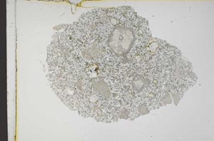 Plane Polarized, S11988