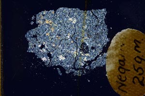 Cross Polarized, S11989