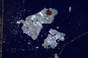 Cross Polarized, S11990