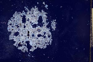 Cross Polarized, S11991