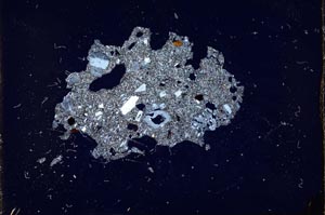 Cross Polarized, S11992