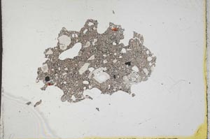 Plane Polarized, S11992