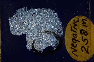 Cross Polarized, S11993