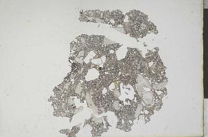 Plane Polarized, S11995