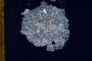 Cross Polarized, S11996