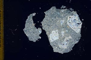 Cross Polarized, S11997