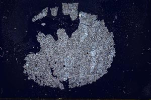 Cross Polarized, S11998