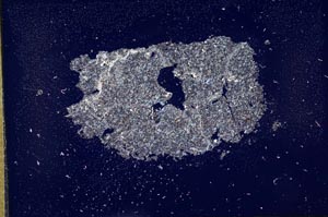 Cross Polarized, S11999