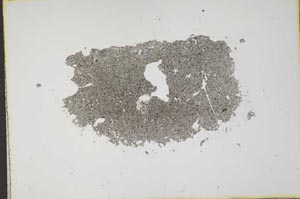 Plane Polarized, S11999