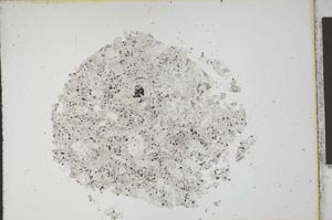 Plane Polarized, S12000