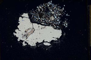 Cross Polarized, S12001