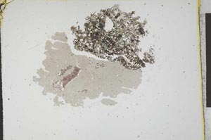 Plane Polarized, S12001