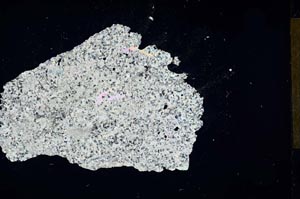 Cross Polarized, S12002