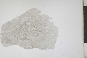 Plane Polarized, S12002