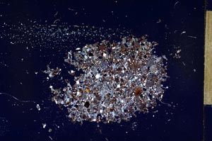 Cross Polarized, S12003