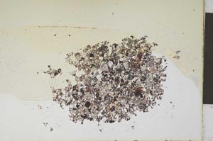 Plane Polarized, S12003