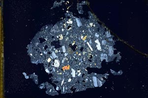 Cross Polarized, S12004