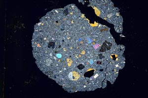 Cross Polarized, S12005