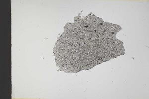 Plane Polarized, S12006