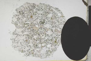 Plane Polarized, S12013