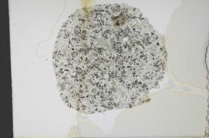 Plane Polarized, S12015