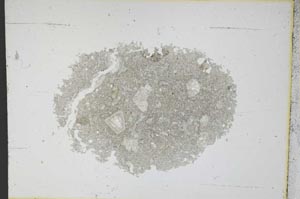 Plane Polarized, S12032