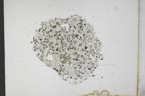 Plane Polarized, S12034