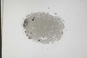 Plane Polarized, S12042