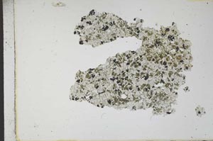 Plane Polarized, S12044